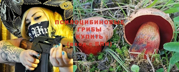 ешки Абаза