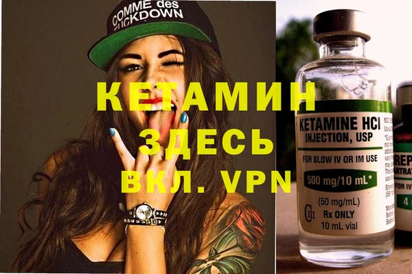 сатива Алзамай