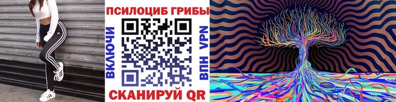 Галлюциногенные грибы прущие грибы Павловский Посад